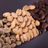 seleccionamos el  café